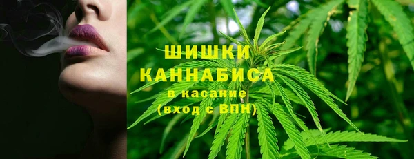 крисы Богданович